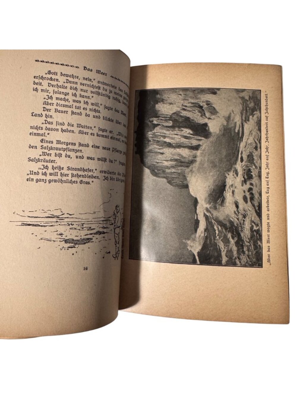 "Mother Nature Tells" By Karl Ewald Hardcover Book German Mutter Natur Erzählt - Picture 8 of 16